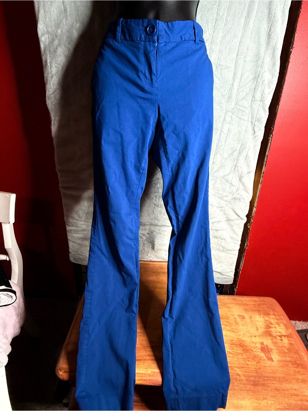 The Limited Classic Women’s Blue Slacks